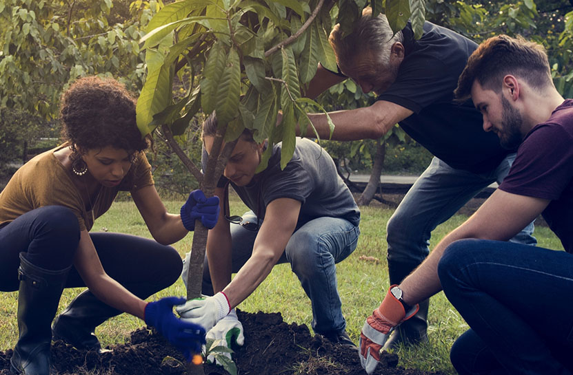 community-planting-tree-together.jpg